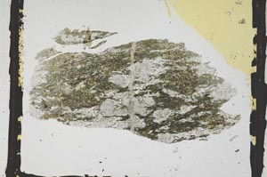 Plane Polarized, S3279