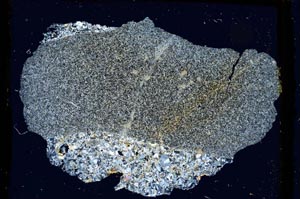 Cross Polarized, S3288