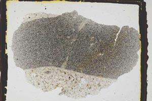 Plane Polarized, S3288