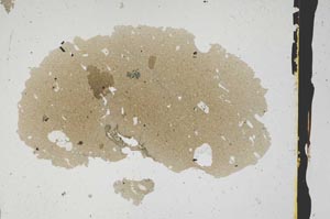 Plane Polarized, S3293