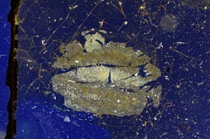 Cross Polarized, S3294