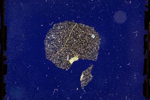 Cross Polarized, S3296