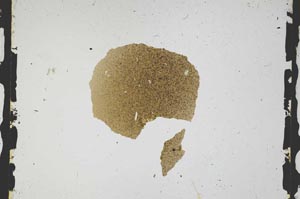 Plane Polarized, S3296