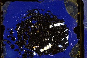 Cross Polarized, S3297