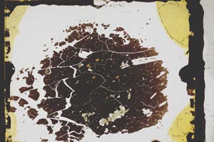 Plane Polarized, S3297