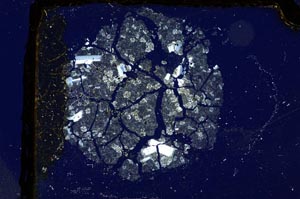 Cross Polarized, S3302