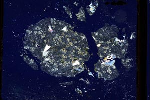 Cross Polarized, S3302/a