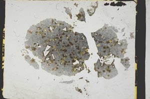 Plane Polarized, S3302/a