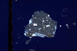 Cross Polarized, S3313