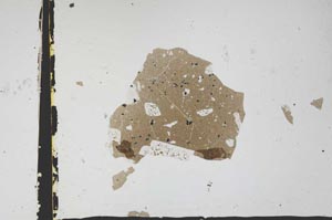 Plane Polarized, S3313