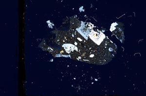 Cross Polarized, S3314