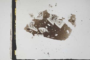 Plane Polarized, S3314