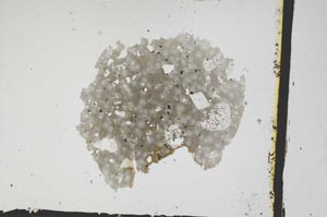 Plane Polarized, S3315