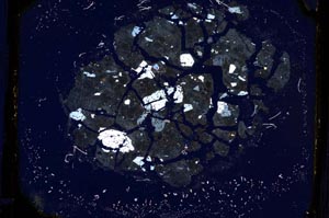 Cross Polarized, S3316