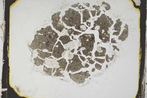 Plane Polarized, S3316