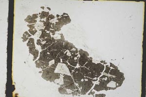 Plane Polarized, S3316/a