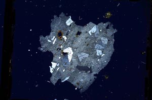 Cross Polarized, S3317