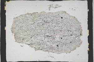 Plane Polarized, S3344