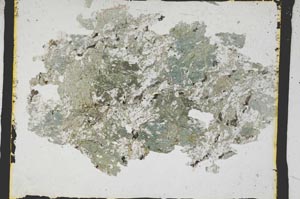 Plane Polarized, S3345