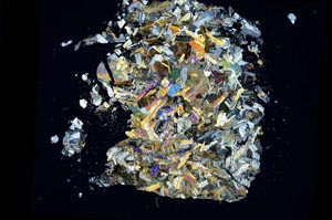 Cross Polarized, S3346