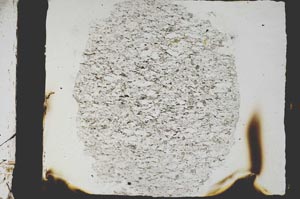 Plane Polarized, S3364