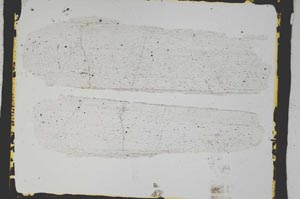 Plane Polarized, S3375