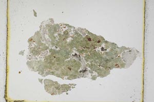 Plane Polarized, S3420