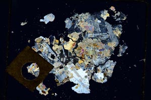 Cross Polarized, S3422