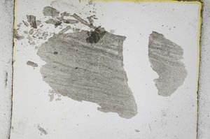 Plane Polarized, S3437