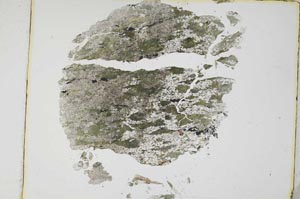 Plane Polarized, S3443