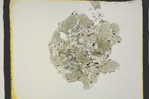 Plane Polarized, S3124