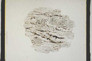 Plane Polarized, S3133
