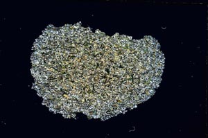 Cross Polarized, S3484