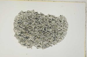 Plane Polarized, S3484