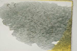 Plane Polarized, S3486