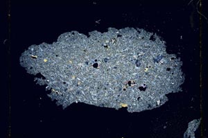 Cross Polarized, S3499