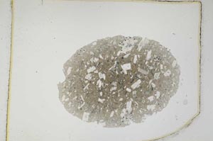 Plane Polarized, S3502