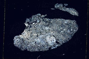 Cross Polarized, S3504