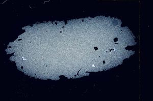 Cross Polarized, S3507