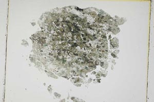 Plane Polarized, S3592