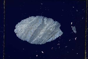 Cross Polarized, S3596