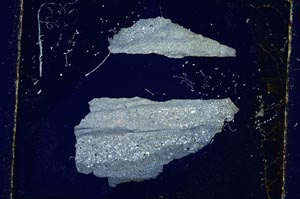 Cross Polarized, S3597