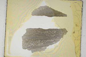 Plane Polarized, S3597