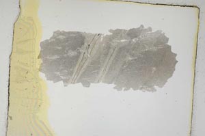 Plane Polarized, S3621