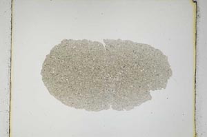 Plane Polarized, S3622