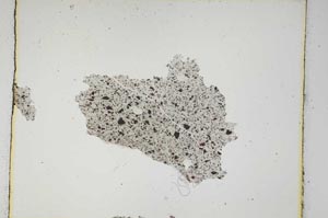 Plane Polarized, S3624