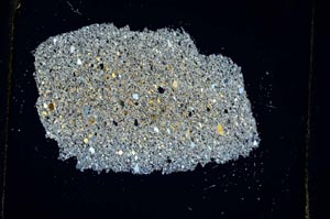 Cross Polarized, S3641