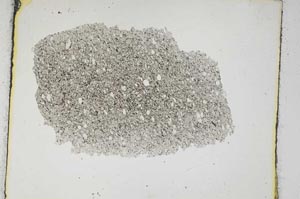 Plane Polarized, S3641