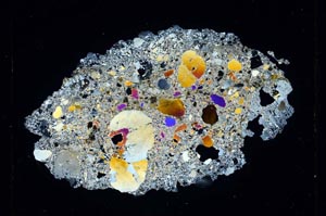 Cross Polarized, S3664