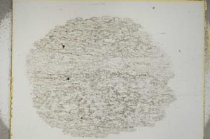 Plane Polarized, S3671